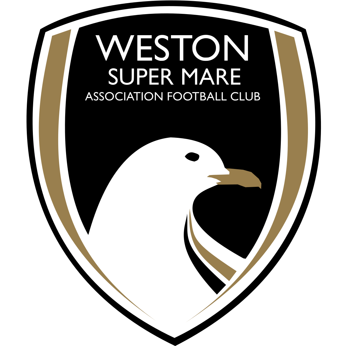 Weston Super Mare Fc